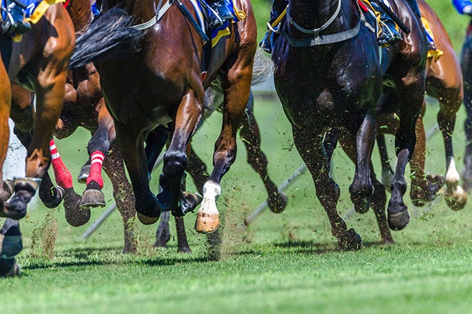 horse-racing-horses-on-turf-adobestock-256124690 - The Main Event Company Illustrative photograph of horses racing on turf